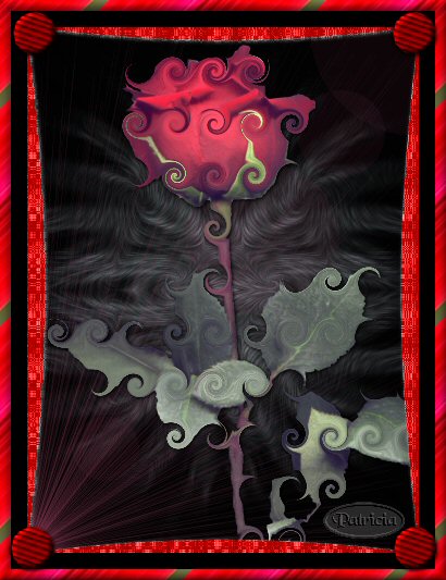 la rose
